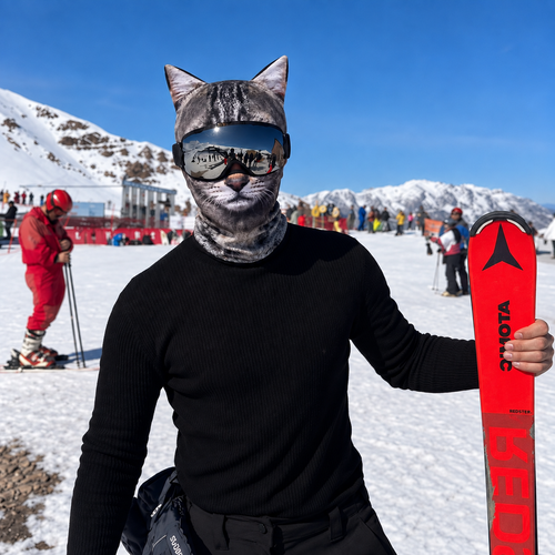 files/ChatGPT_Image_20_sept._2026_12_55_58.png