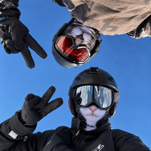 files/ChatGPT_Image_20_sept._2026_13_04_03.png